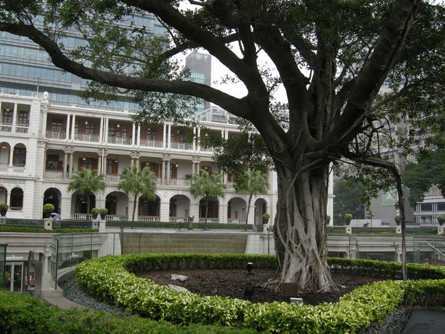 3rd floor tree