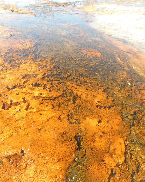 patterns from Yellowstone