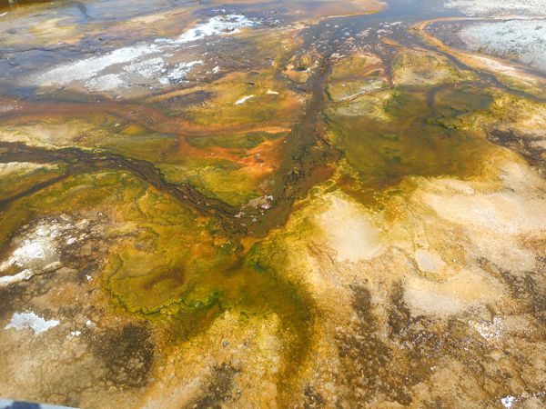 patterns from Yellowstone