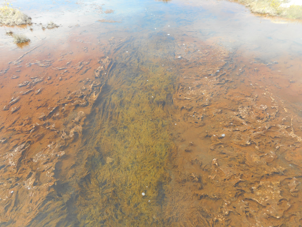 patterns from Yellowstone