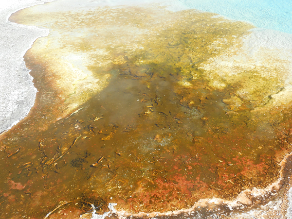 patterns from Yellowstone