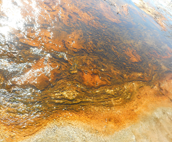 patterns from Yellowstone