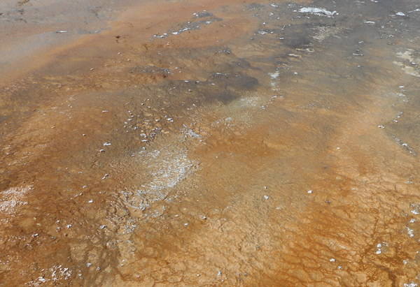 patterns from Yellowstone