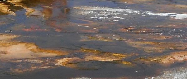 patterns from Yellowstone