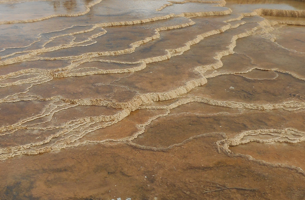 patterns from Yellowstone