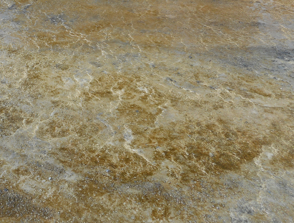patterns from Yellowstone