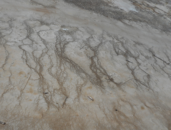 patterns from Yellowstone