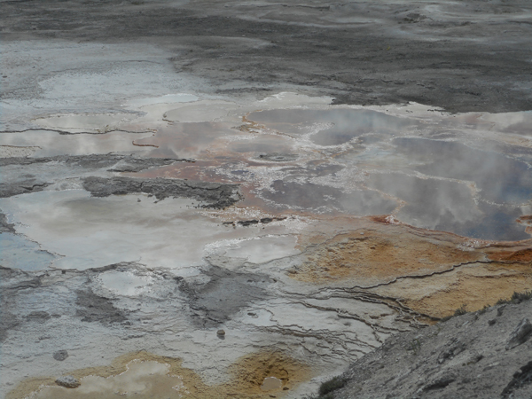 patterns from Yellowstone