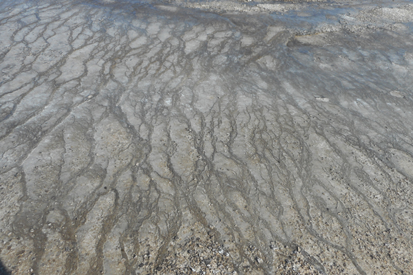 patterns from Yellowstone