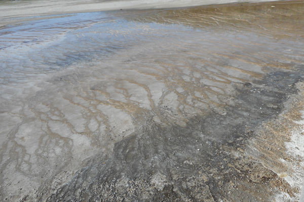 patterns from Yellowstone