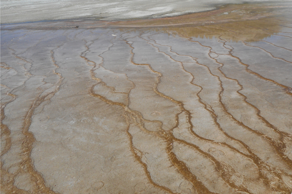 patterns from Yellowstone