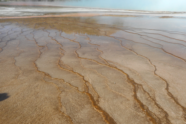 patterns from Yellowstone