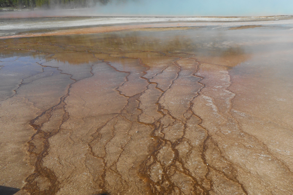 patterns from Yellowstone