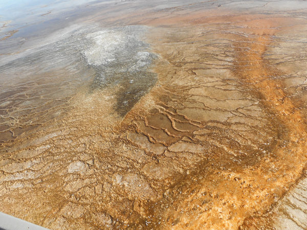 patterns from Yellowstone