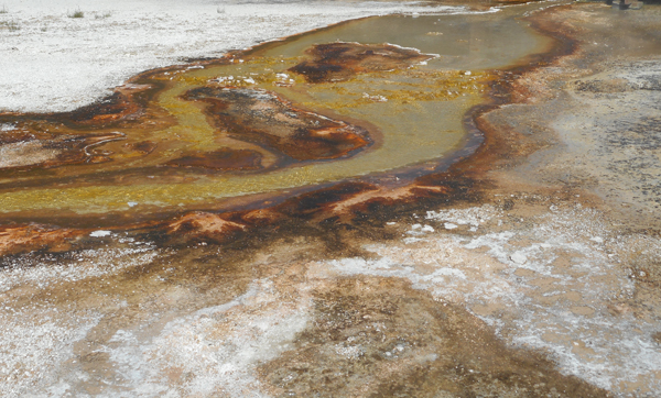 patterns from Yellowstone