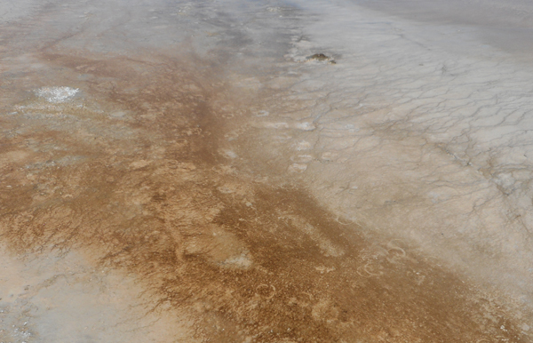 patterns from Yellowstone