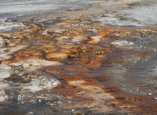 patterns from Yellowstone