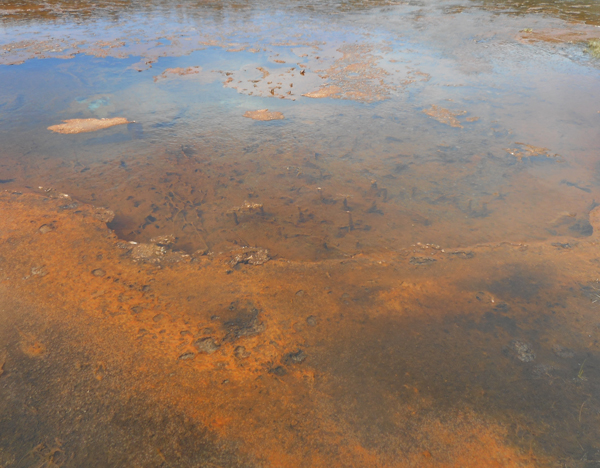 patterns from Yellowstone