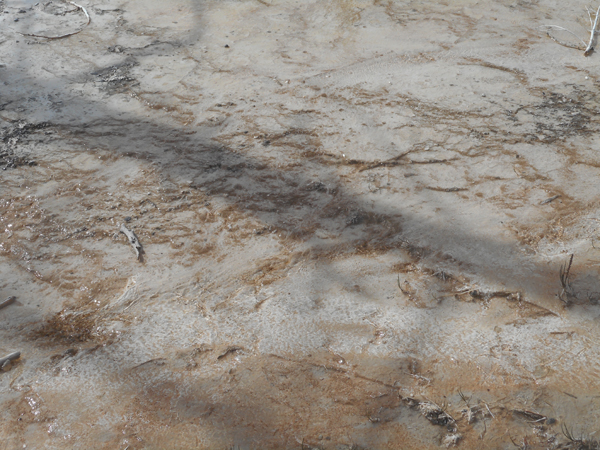 patterns from Yellowstone