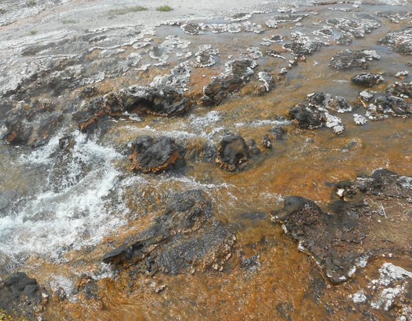 patterns from Yellowstone