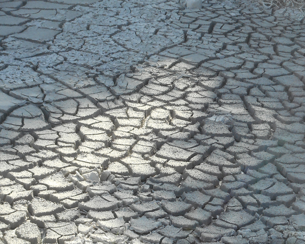 patterns from Yellowstone