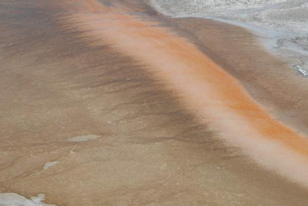 patterns from Yellowstone