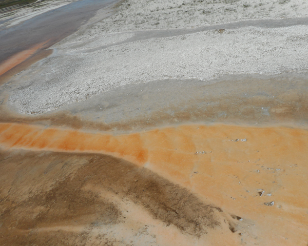 patterns from Yellowstone