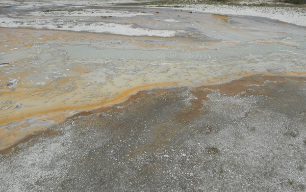 patterns from Yellowstone