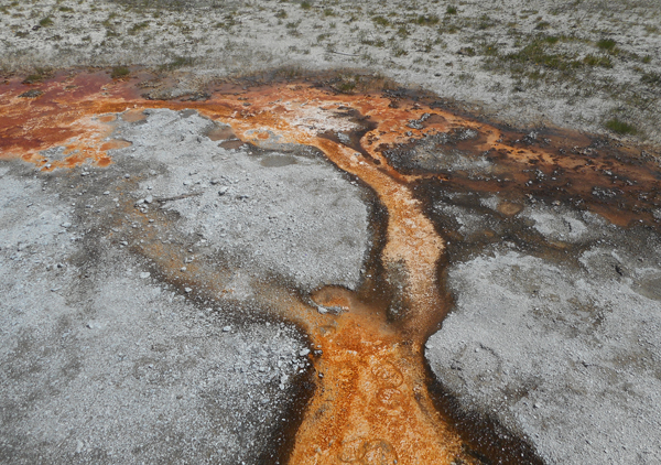 patterns from Yellowstone