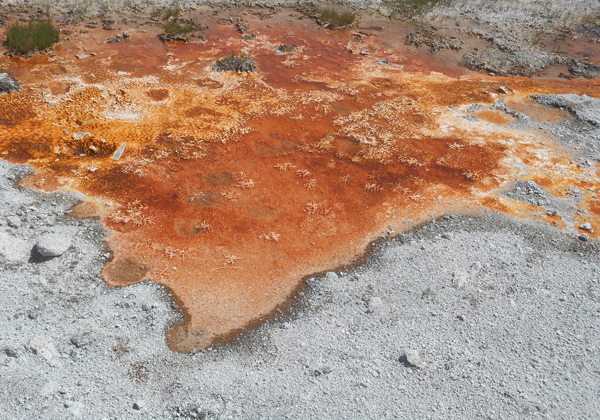 patterns from Yellowstone