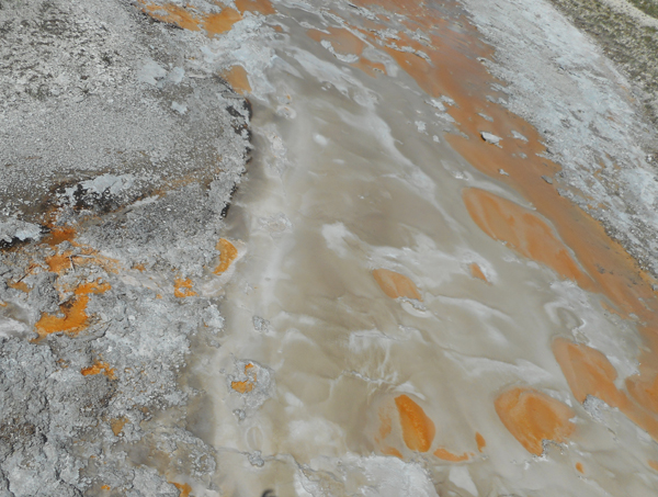 patterns from Yellowstone