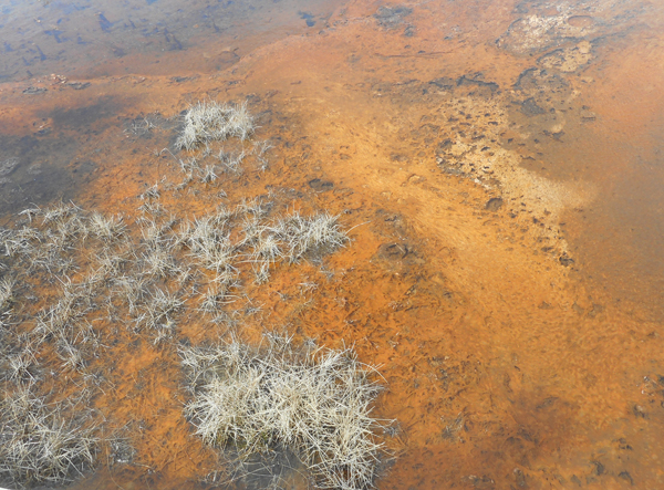 patterns from Yellowstone