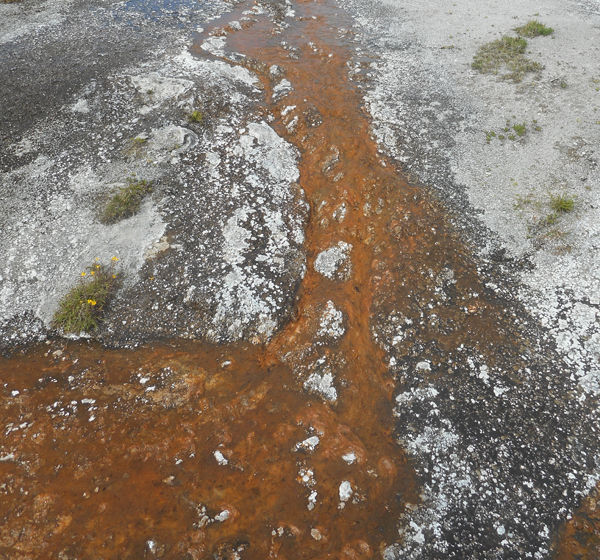 patterns from Yellowstone