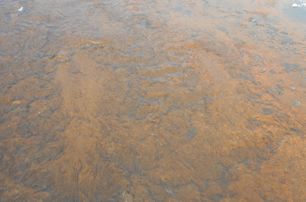 patterns from Yellowstone