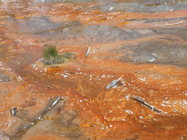 patterns from Yellowstone