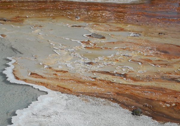 patterns from Yellowstone