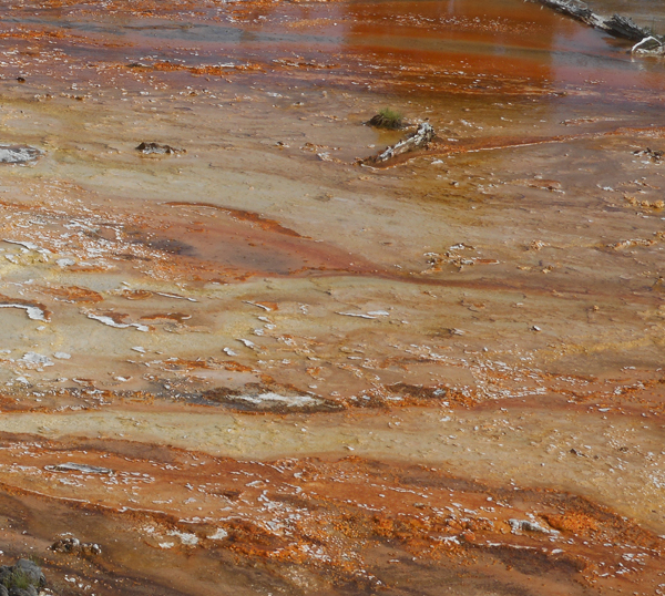 patterns from Yellowstone