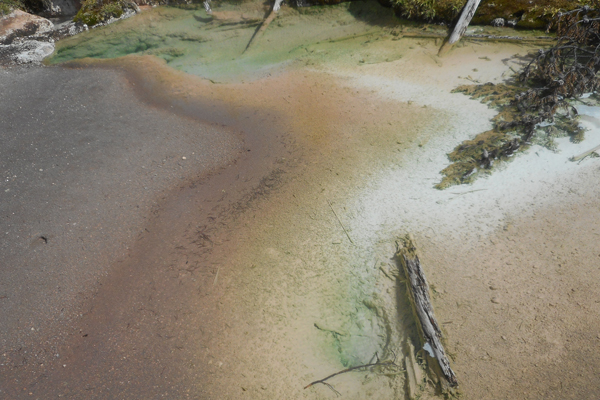 patterns from Yellowstone