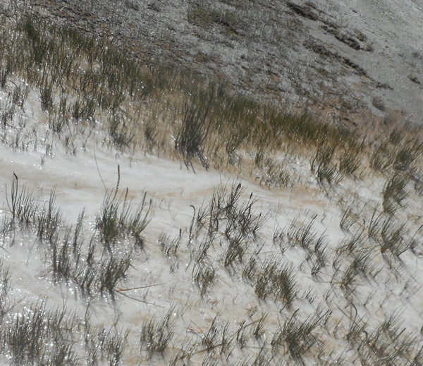 patterns from Yellowstone