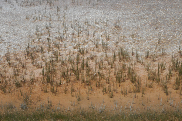 patterns from Yellowstone