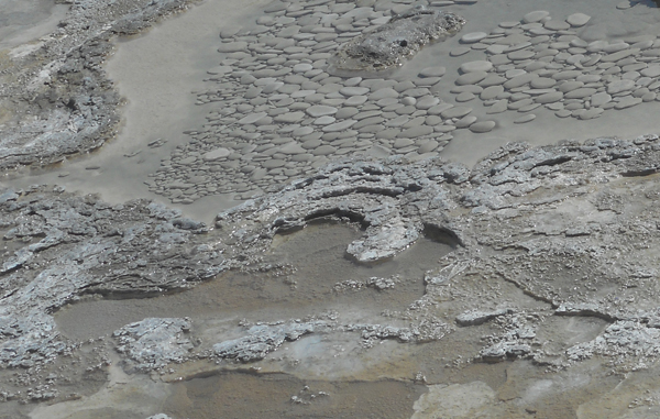 patterns from Yellowstone