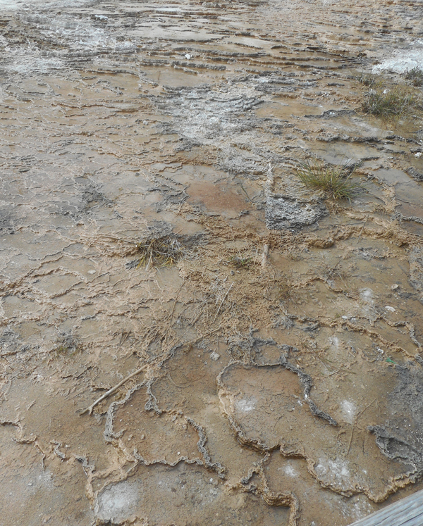 patterns from Yellowstone