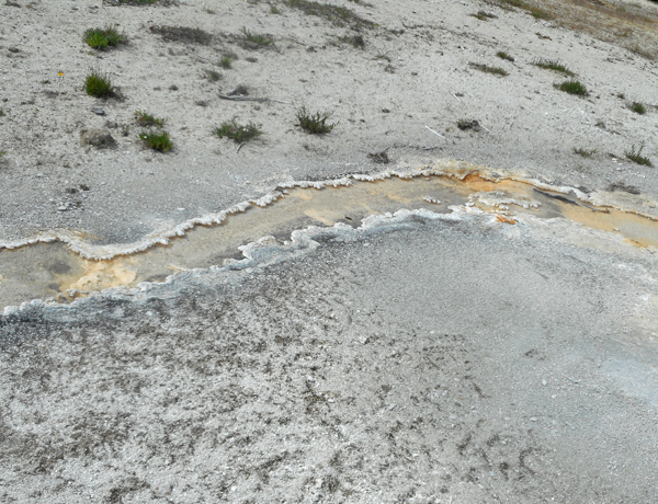 patterns from Yellowstone