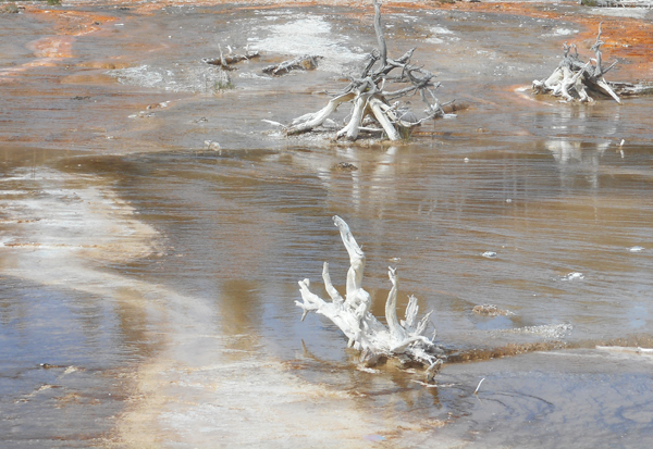 patterns from Yellowstone