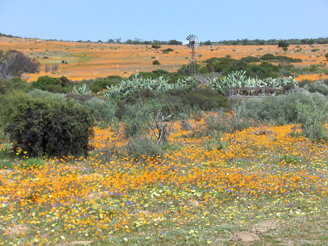 South Africa part 2