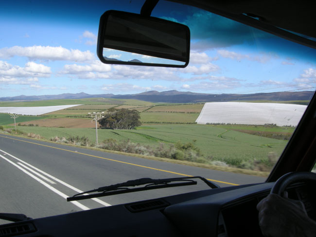 fields near Stanford