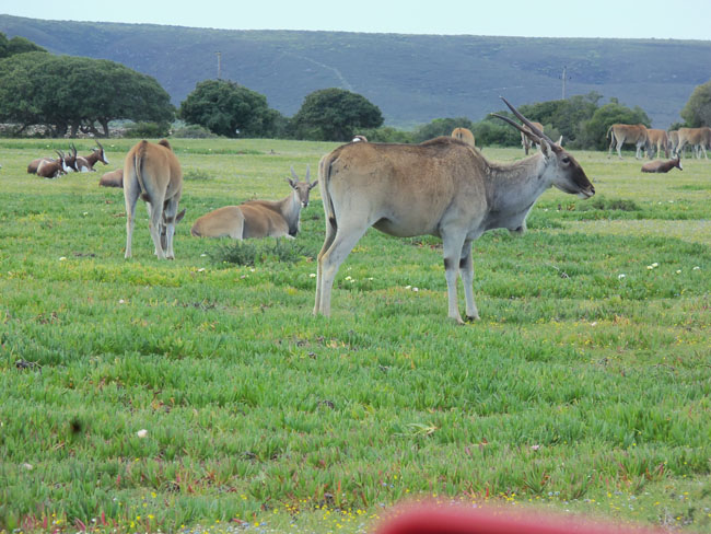 South Africa part 3