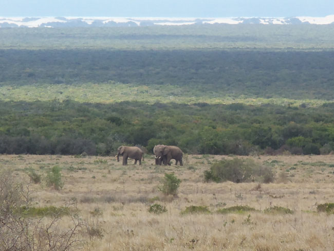 South Africa part 4
