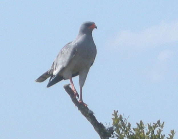 South Africa part 4