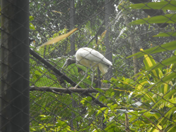 costa rica